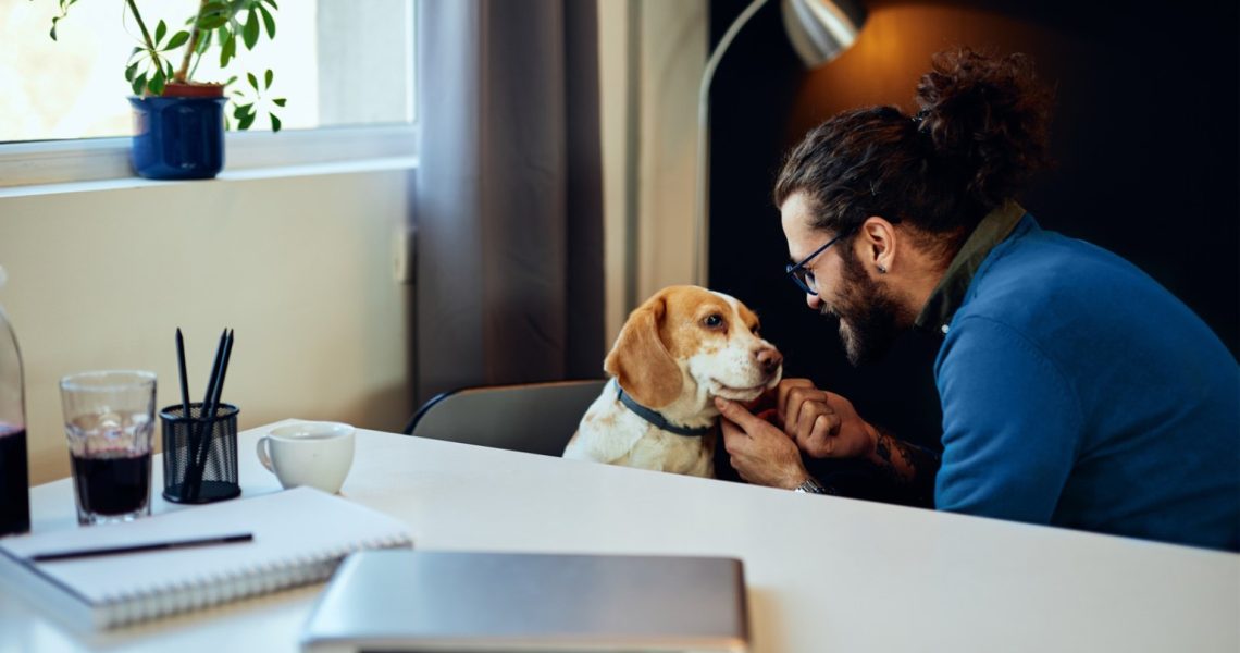 6 Advantages of a Pet Friendly Office Environment